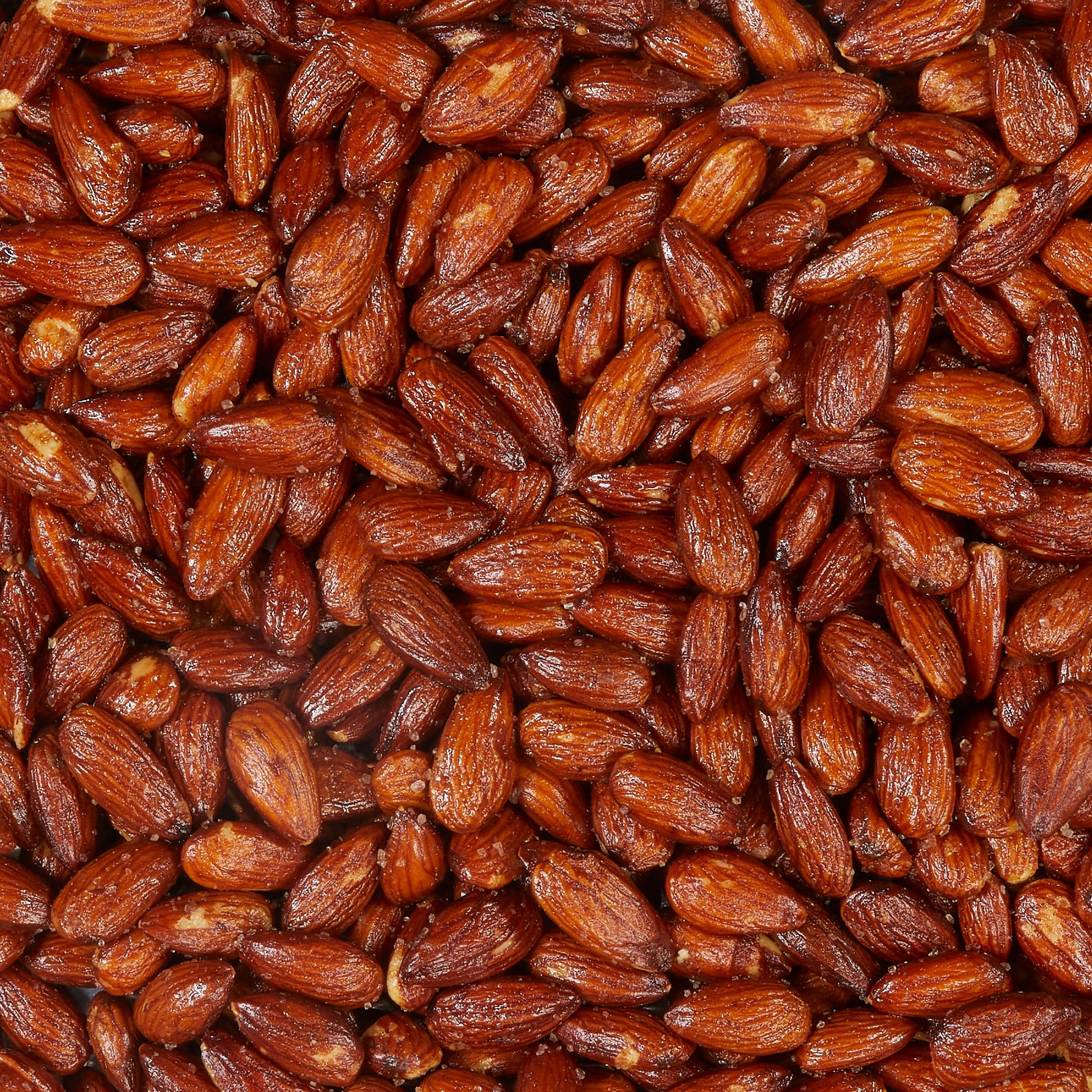 Close-up of a pile of brown seeds