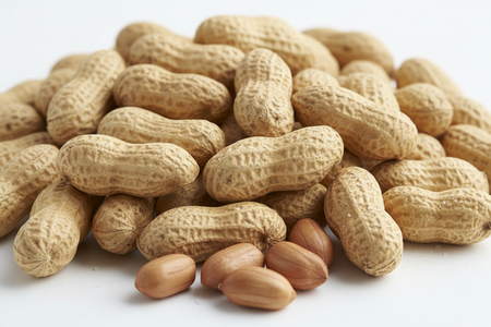Close-up of fancy grade Virginia peanuts in shell showing large size and quality