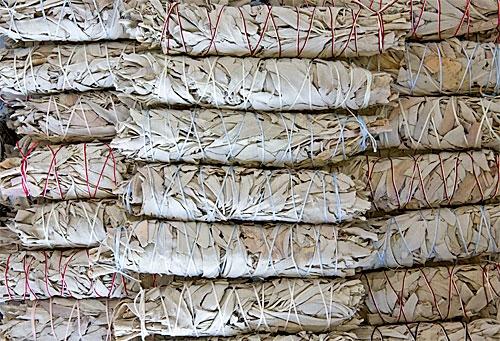 California White Sage Medium Smudges 6 1/2-7"L (Pack of 50) - Gifts Import