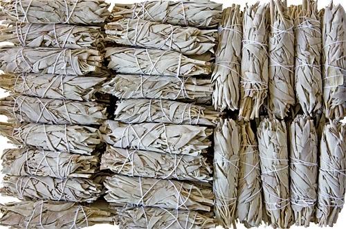 California White Sage Mini Smudges 4"L (Long Style) (Pack of 100) - Gifts Import