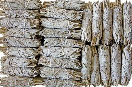 California White Sage Mini Smudges 4"L (Long Style) (Pack of 50) - Gifts Import